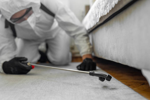 Professional Termite Control technician working in Merrick, NY