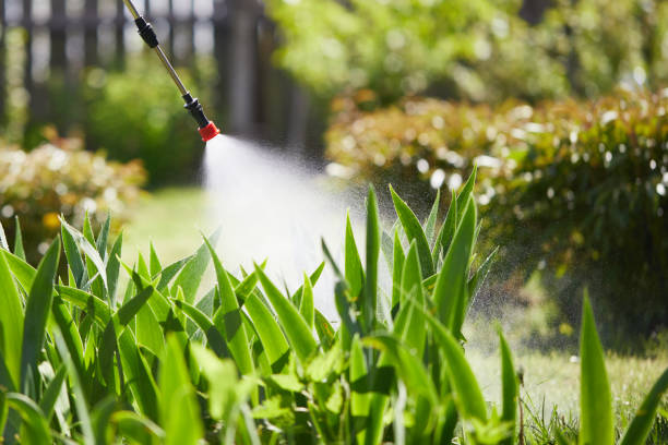 24/7 Emergency Termite Control experts in Merrick, NY